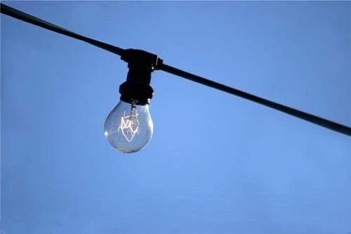 Khách Hàng Già Lia Đến Công Ty Chúng Tôi Để Mua Dây Chuyền Chế Biến Cà Chua