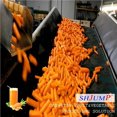 Dây chuyền chế biến cà rốt