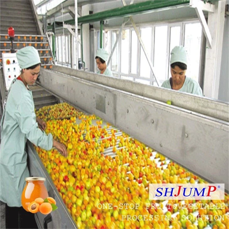 Apricot Puree Processing Line