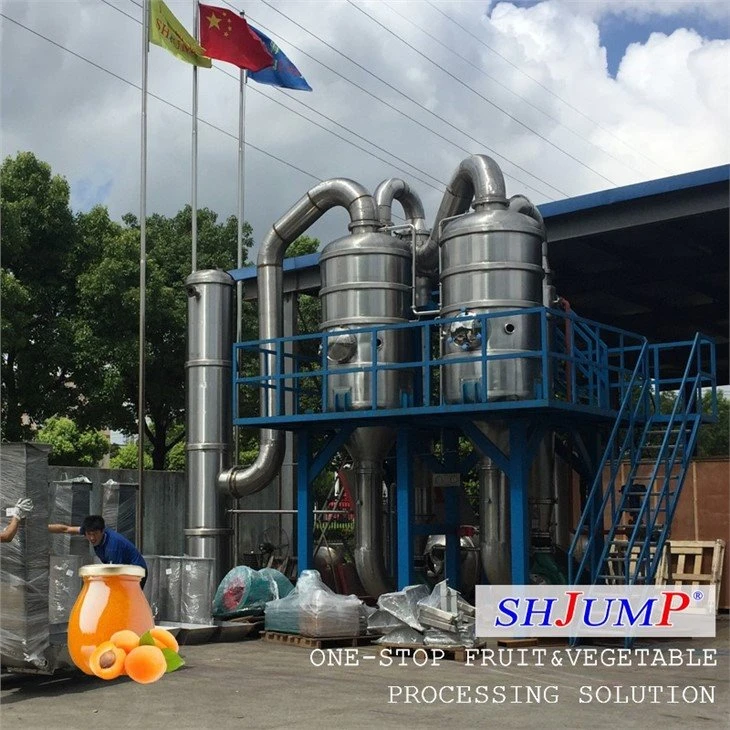 Apricot Puree Processing Line