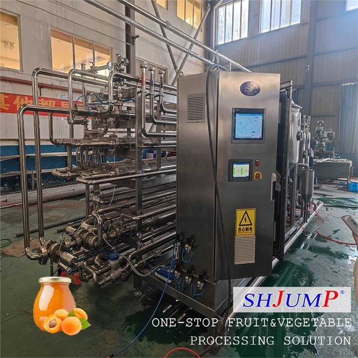 Apricot Puree Processing Line