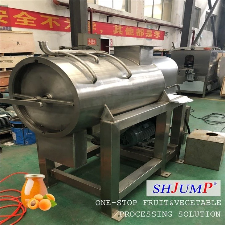 Apricot Puree Processing Line
