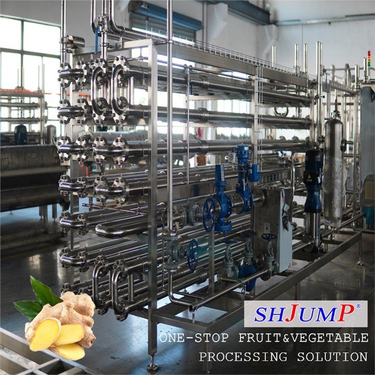 Ginger Processing Line