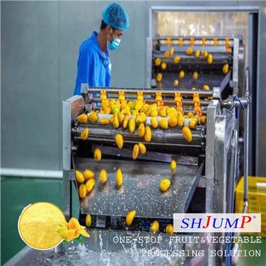 Dây chuyền chế biến bột xoài