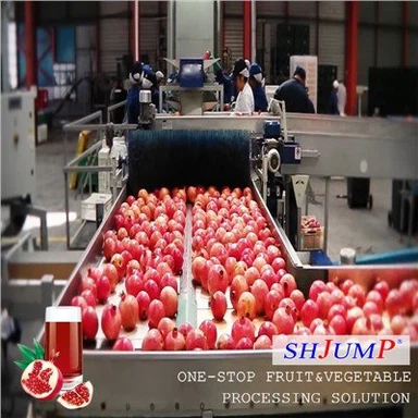 Dây chuyền chế biến nước ép lựu