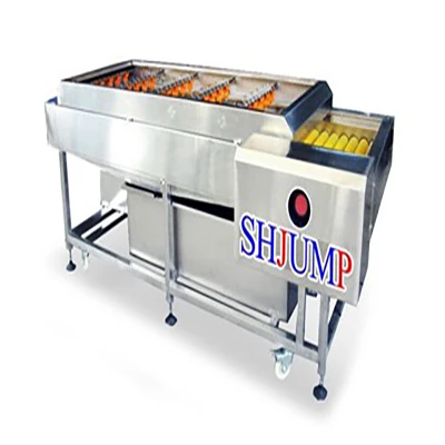 Máy làm sạch rau quả